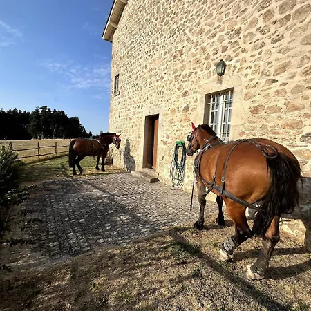 - Haute-loire - Auvergne