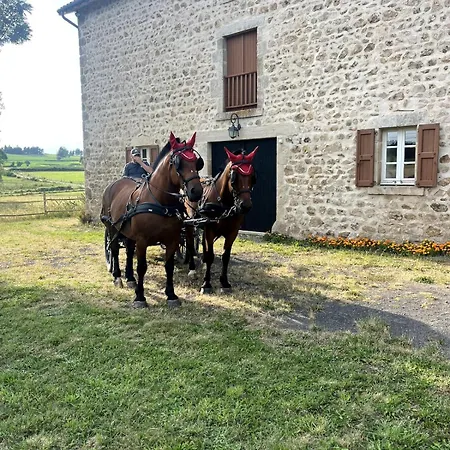 Semesterbostad - Haute-loire - Auvergne